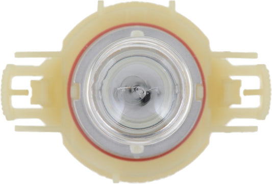 Top View of Front Fog Light Bulb PHILIPS PSX24WB1