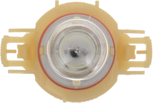 Top View of Front Fog Light Bulb PHILIPS PSX24WC1