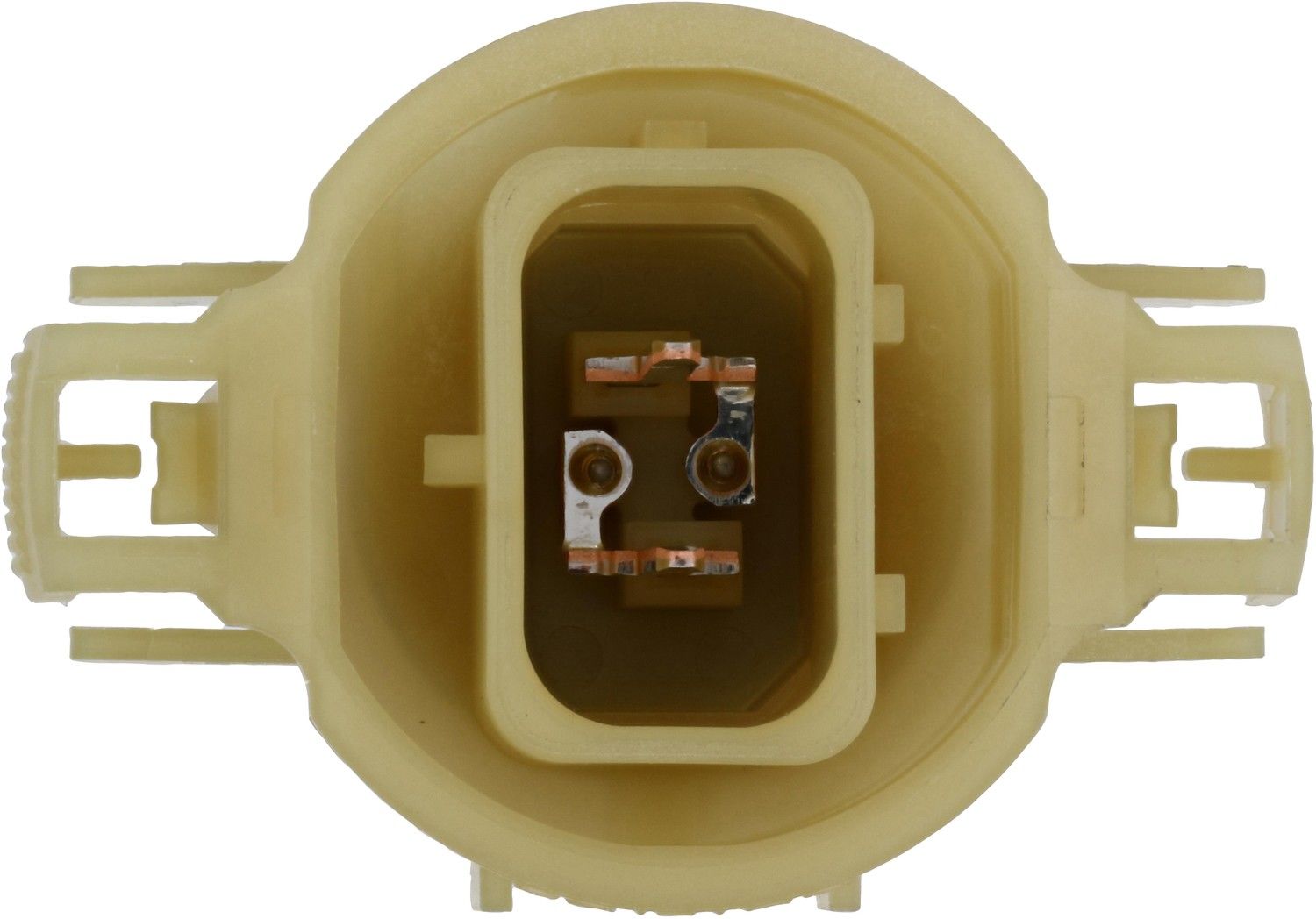 Bottom View of Front Fog Light Bulb PHILIPS PSX24WCVPB1