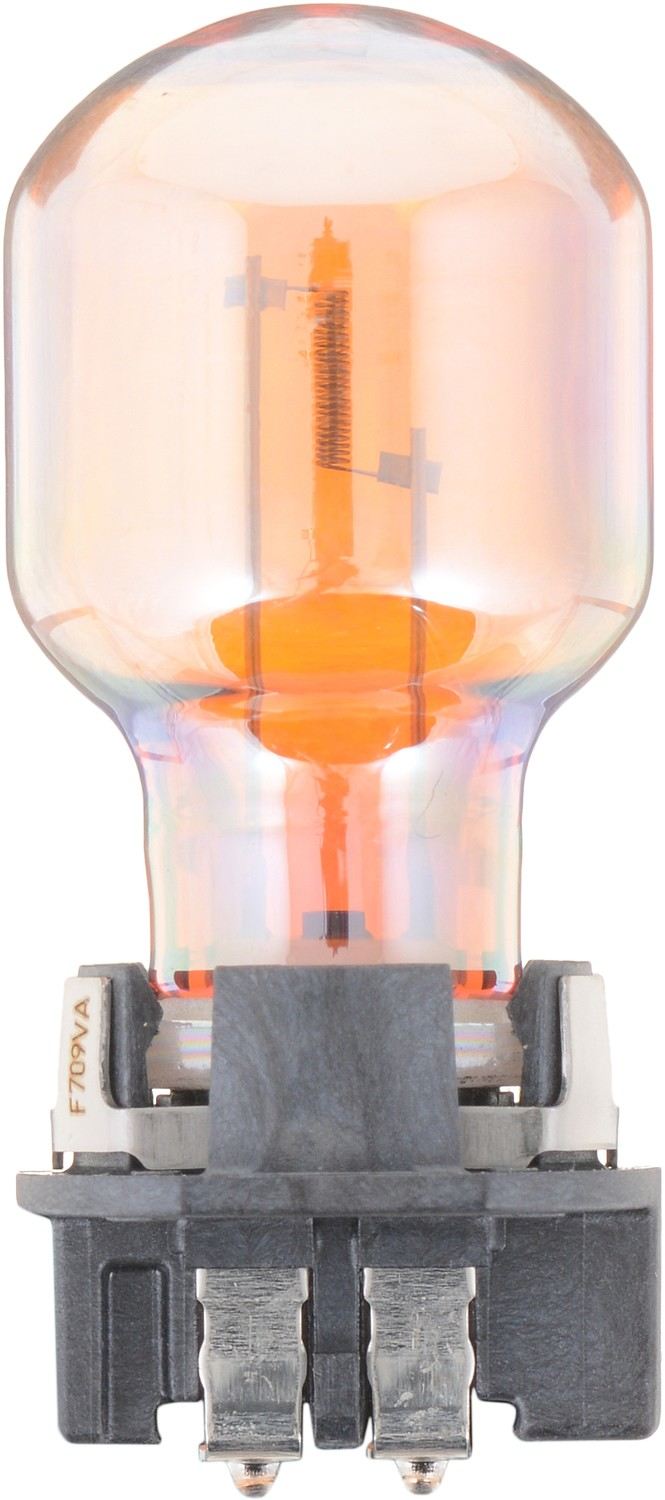 Back View of Front Turn Signal Light Bulb PHILIPS PWY24WSVHTRC1