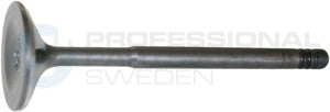 Front View of Engine Intake Valve PRO PARTS 23434607