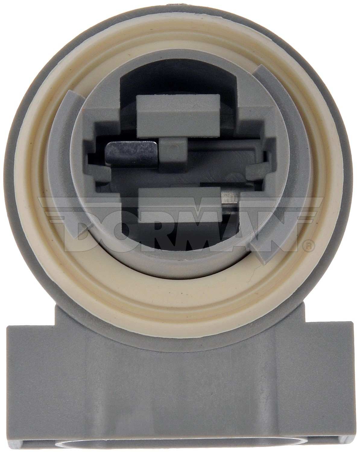 Back View of Cornering Light Socket DORMAN 645-104