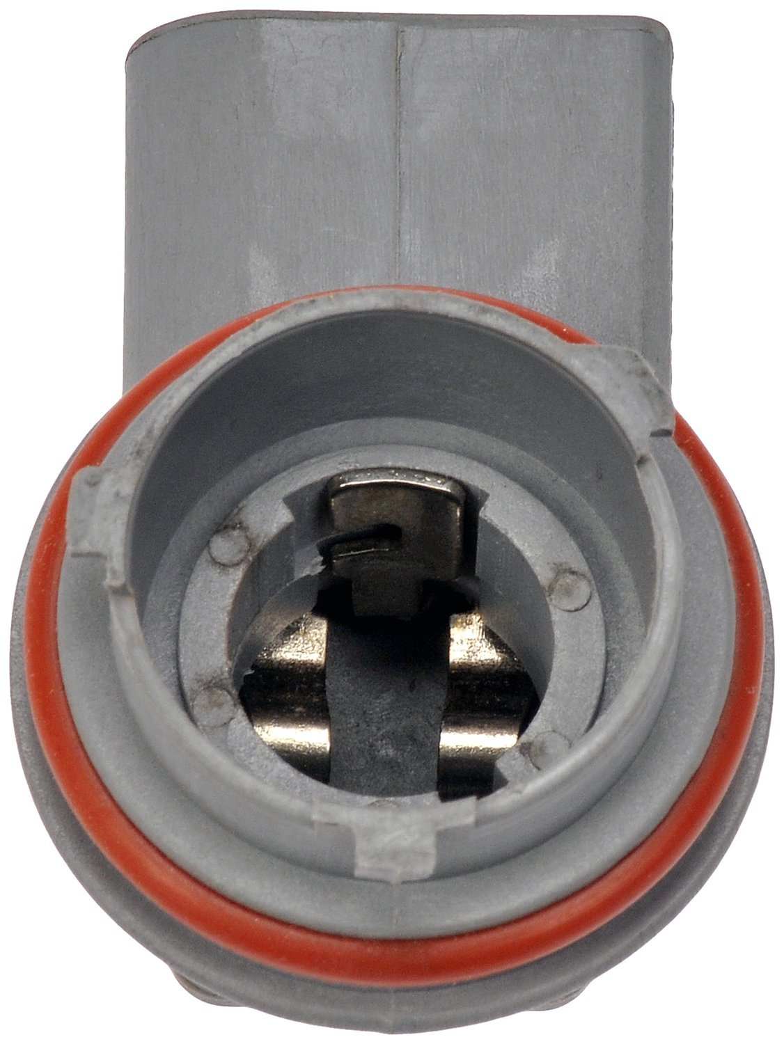 Back View of Tail Light Socket DORMAN 645-562