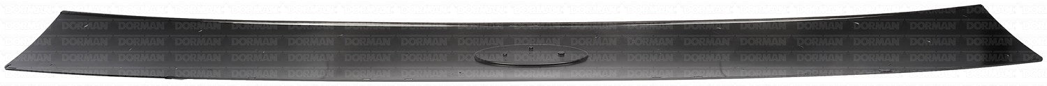 Back View of Rear Panel Applique DORMAN 924-091