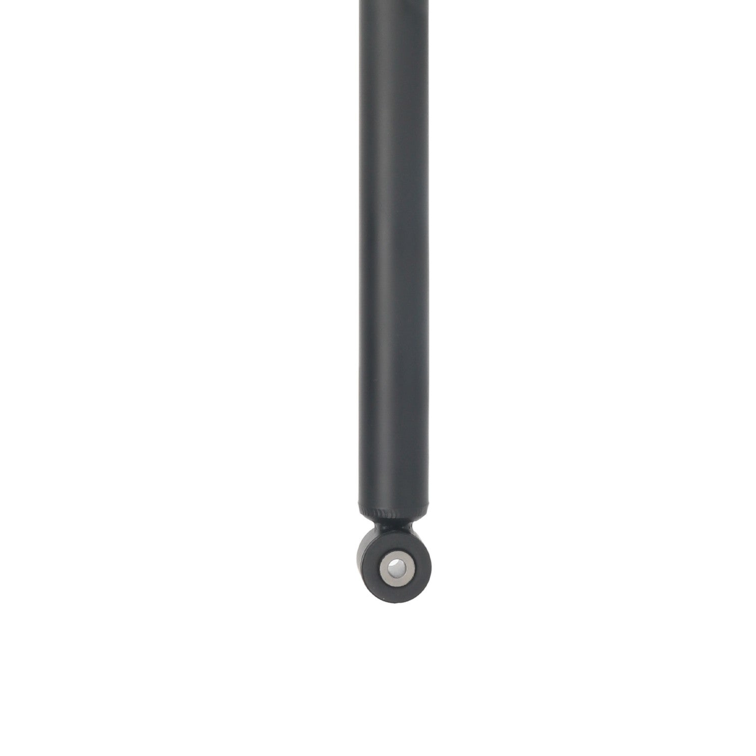 Bottom View of Rear Suspension Strut PRT 170714