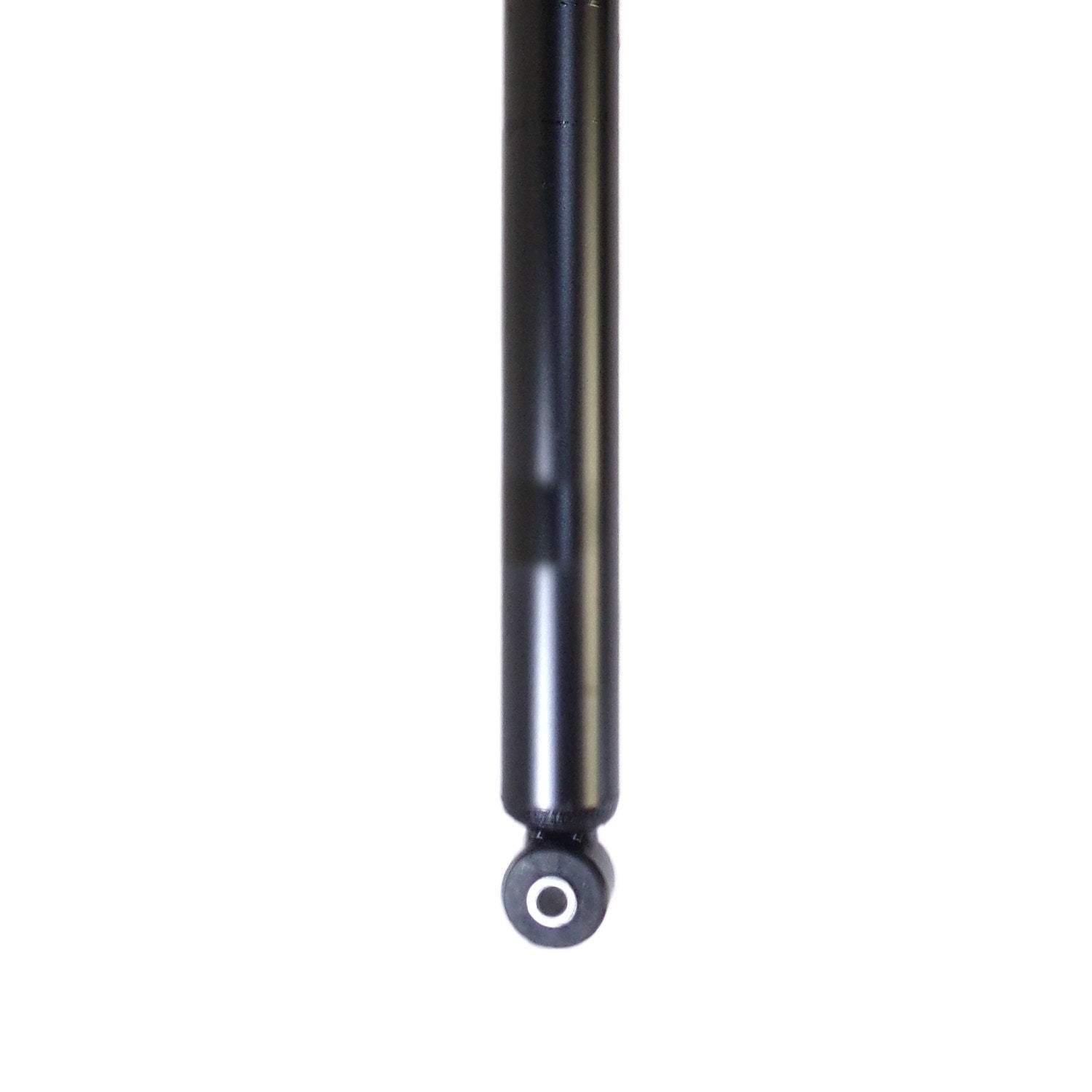 Bottom View of Rear Shock Absorber PRT 172285