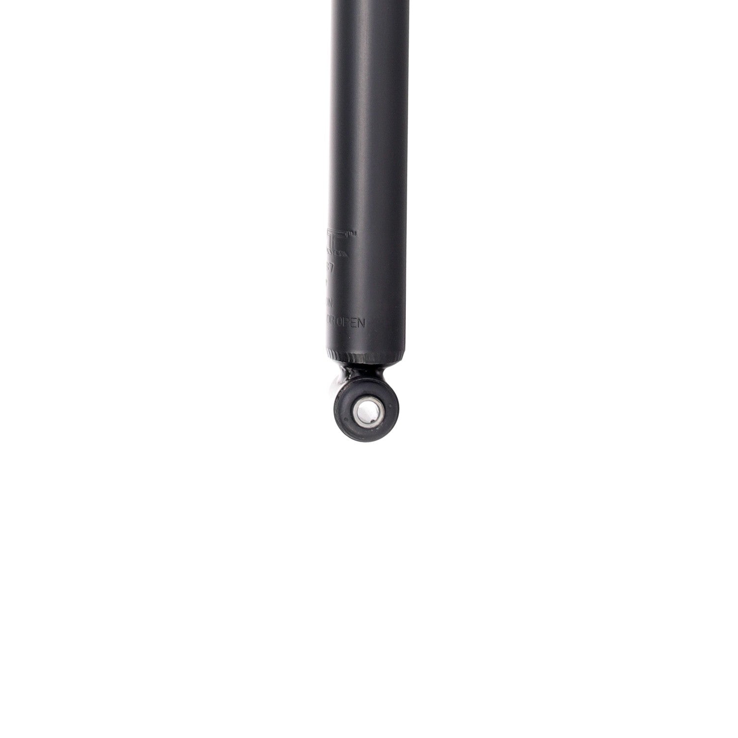 Bottom View of Rear Shock Absorber PRT 172287