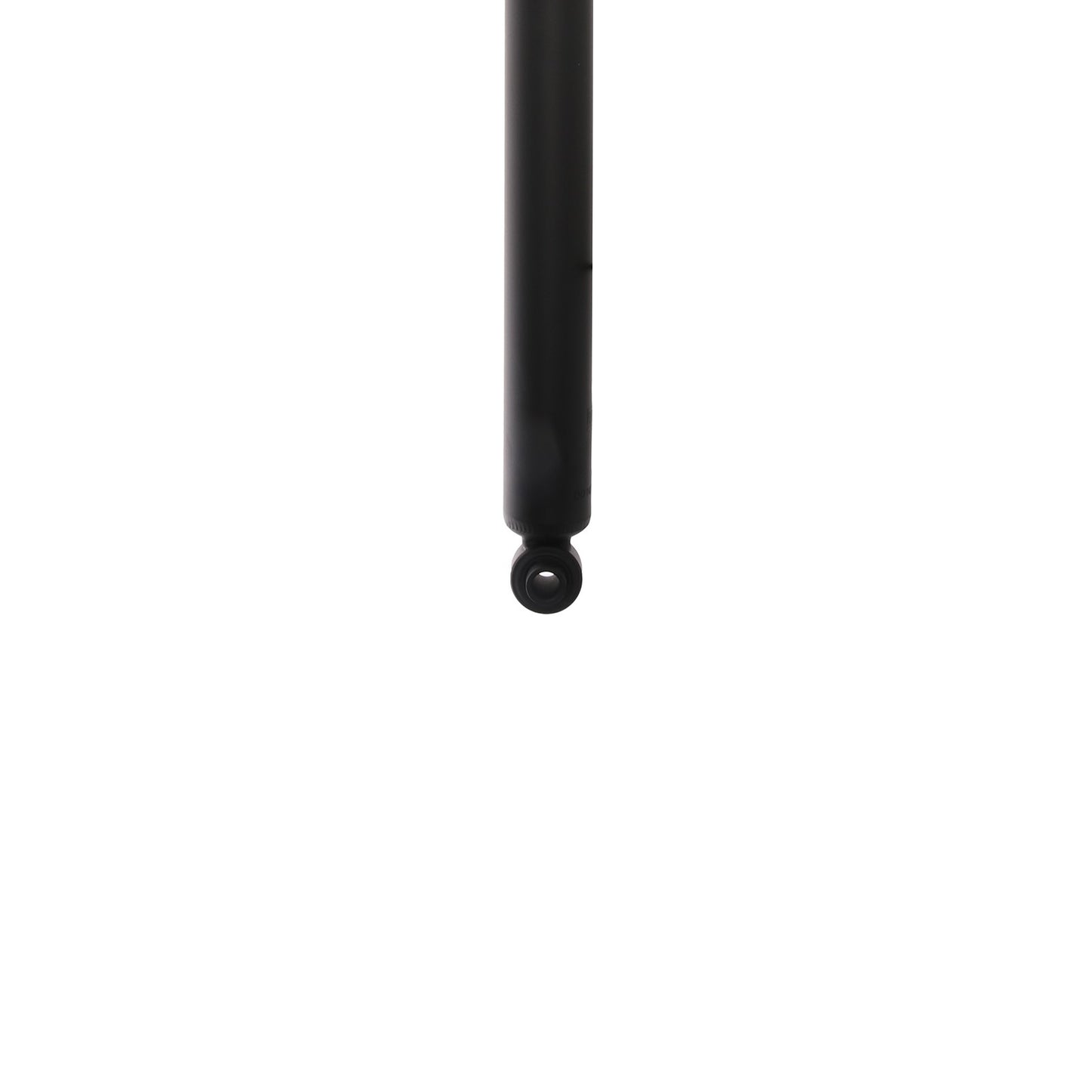 Bottom View of Rear Shock Absorber PRT 173804