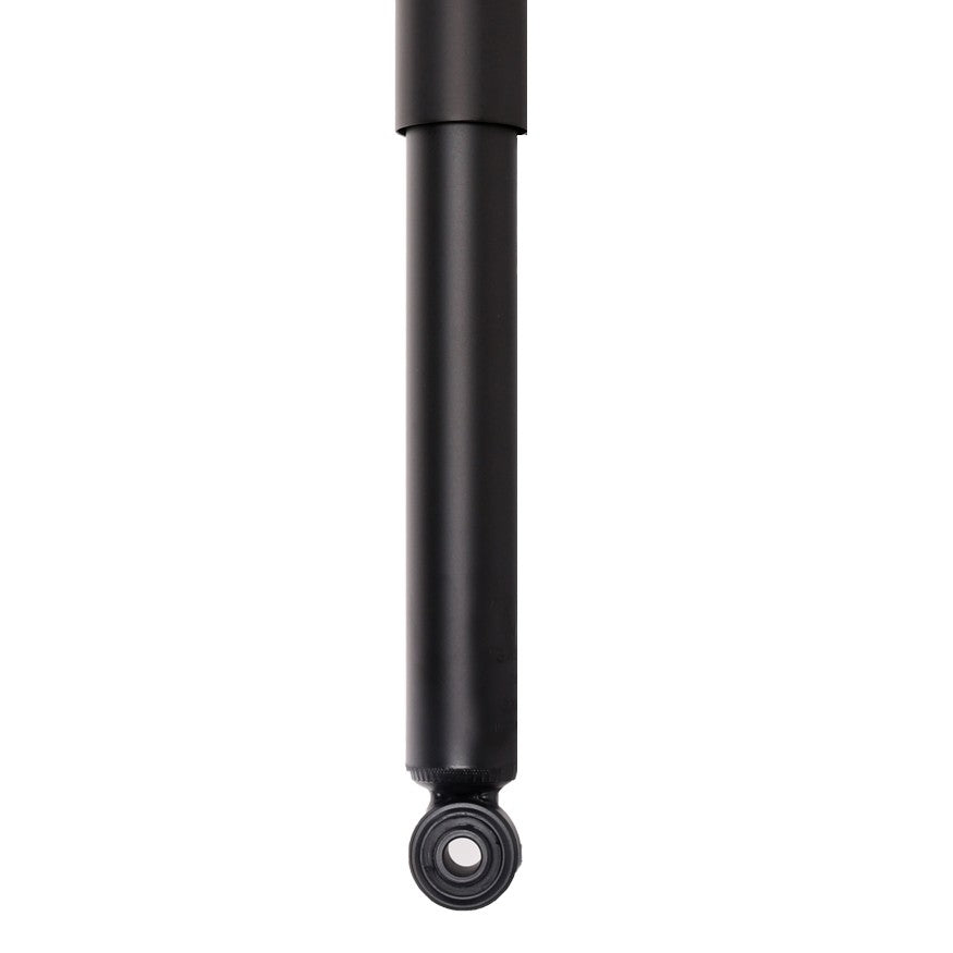 Bottom View of Rear Shock Absorber PRT 173963