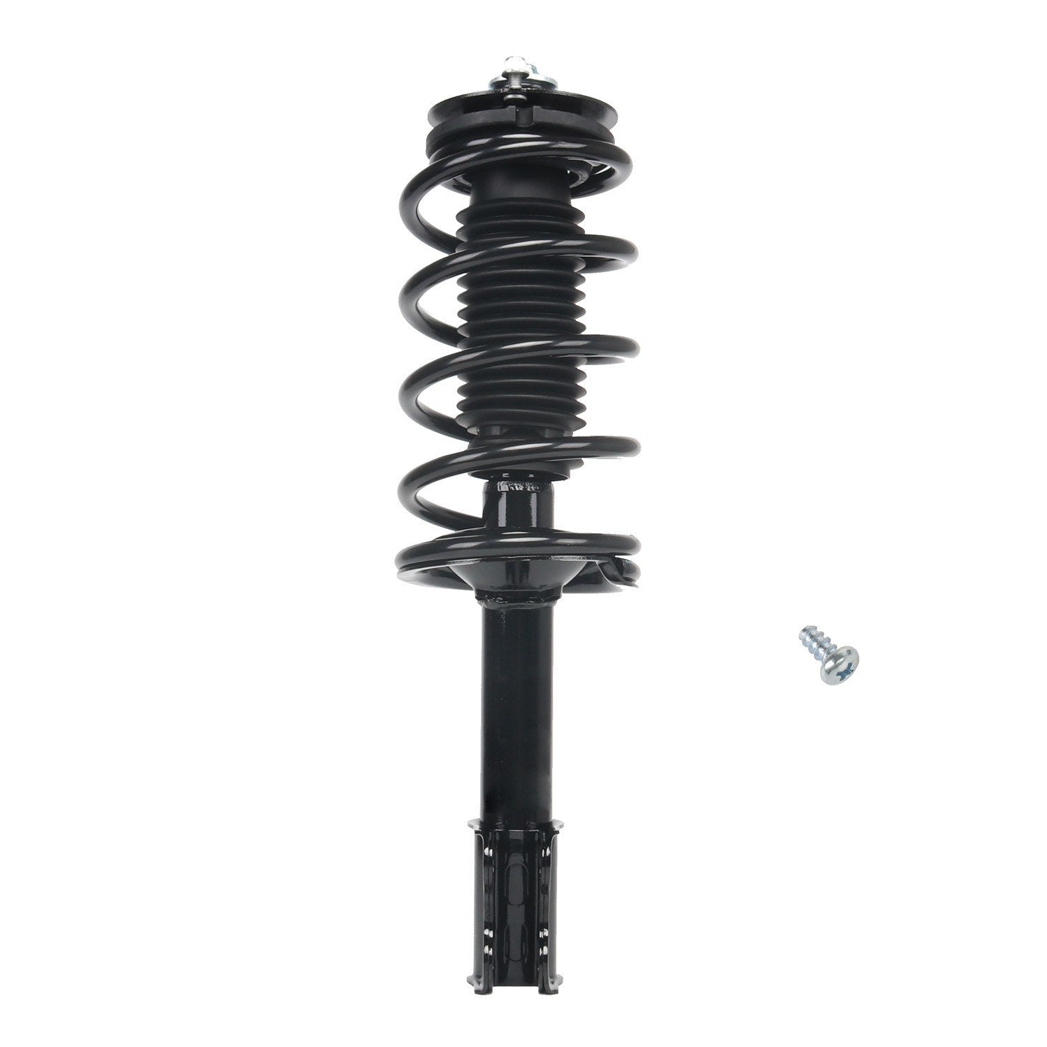 Front View of Front Suspension Strut and Coil Spring Assembly PRT 813681