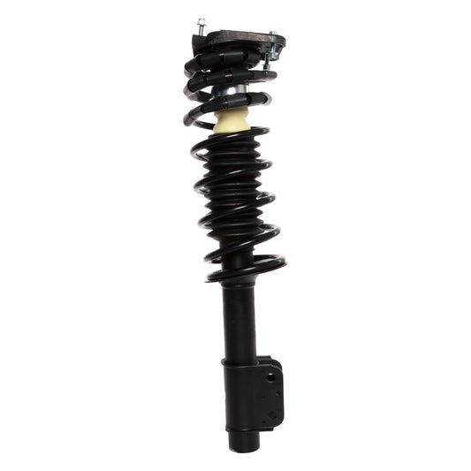 Rear Suspension Strut and Coil Spring Assembly 814319