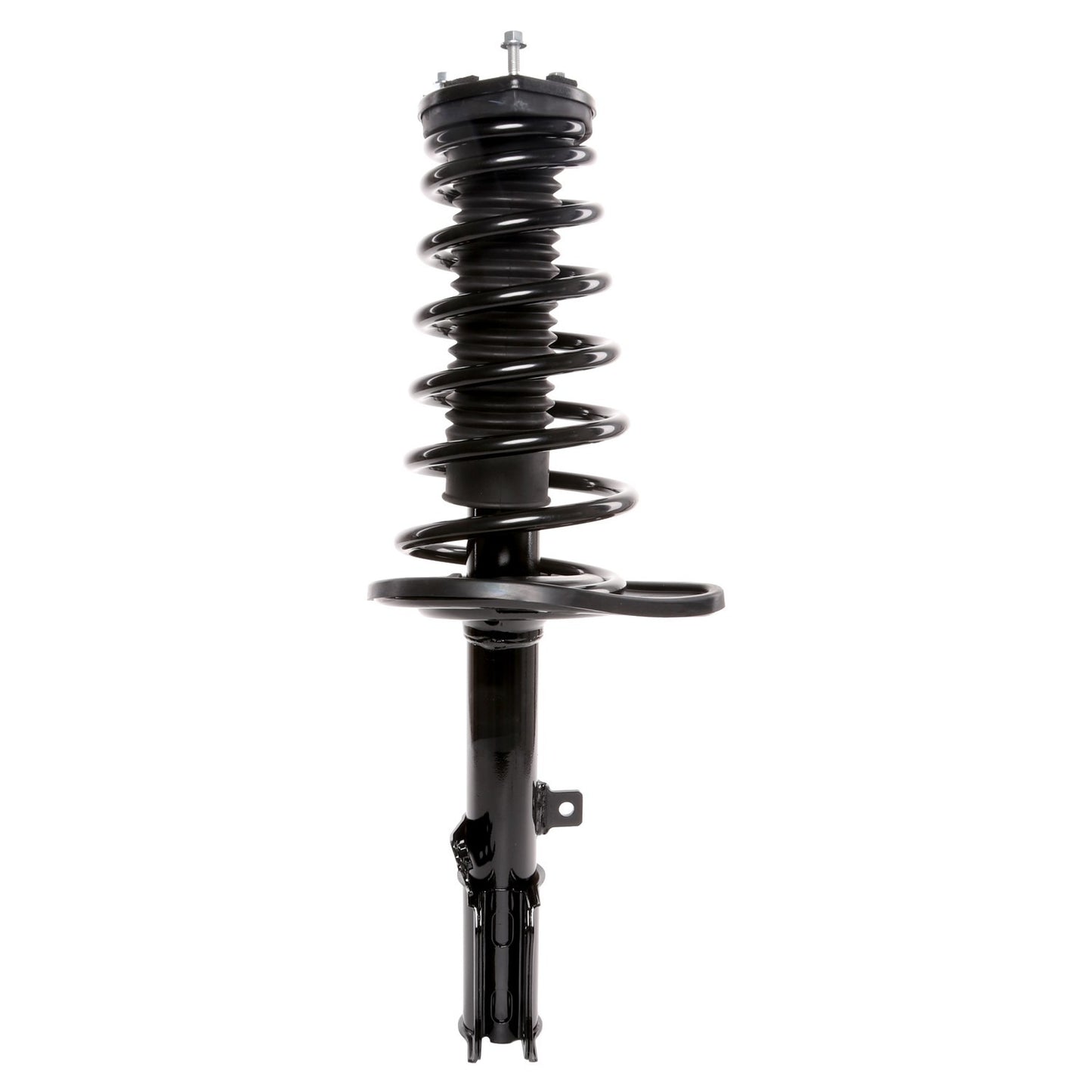 Front View of Rear Left Suspension Strut and Coil Spring Assembly PRT 816634