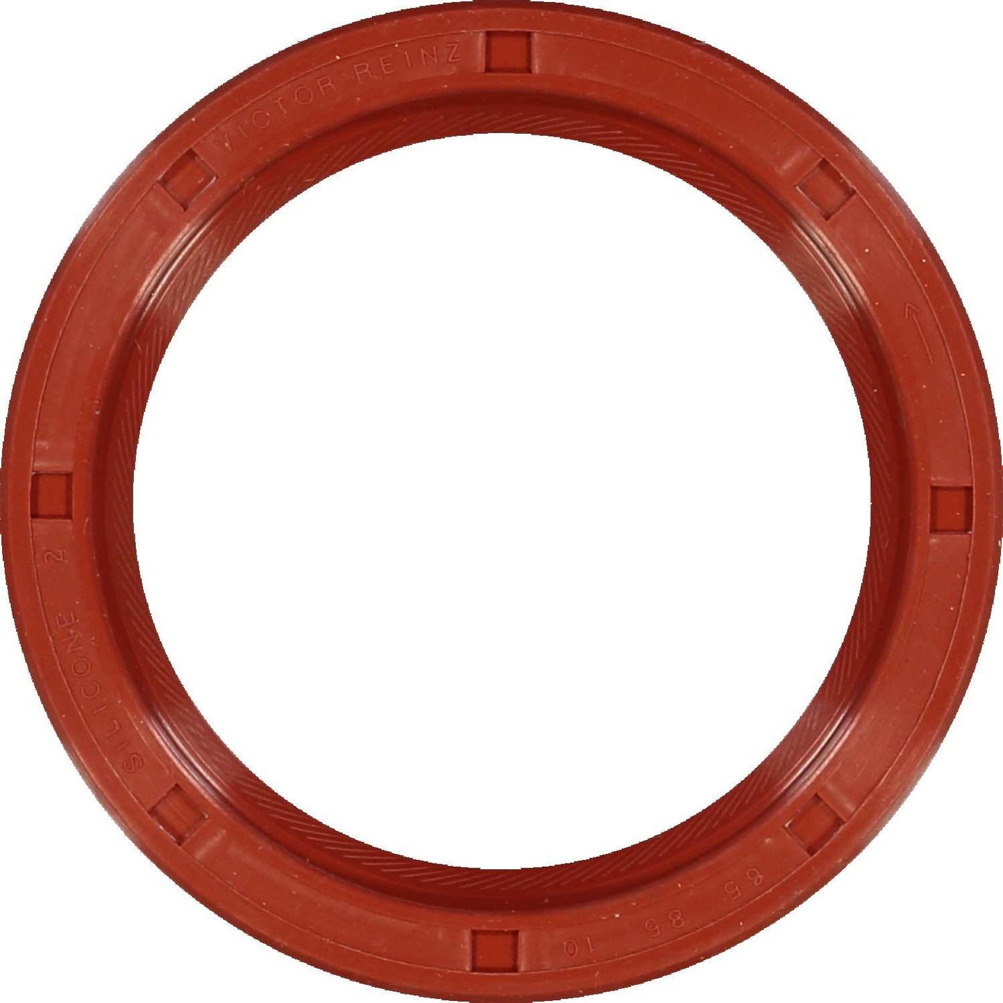 Top View of Engine Crankshaft Seal REINZ 81-15332-20