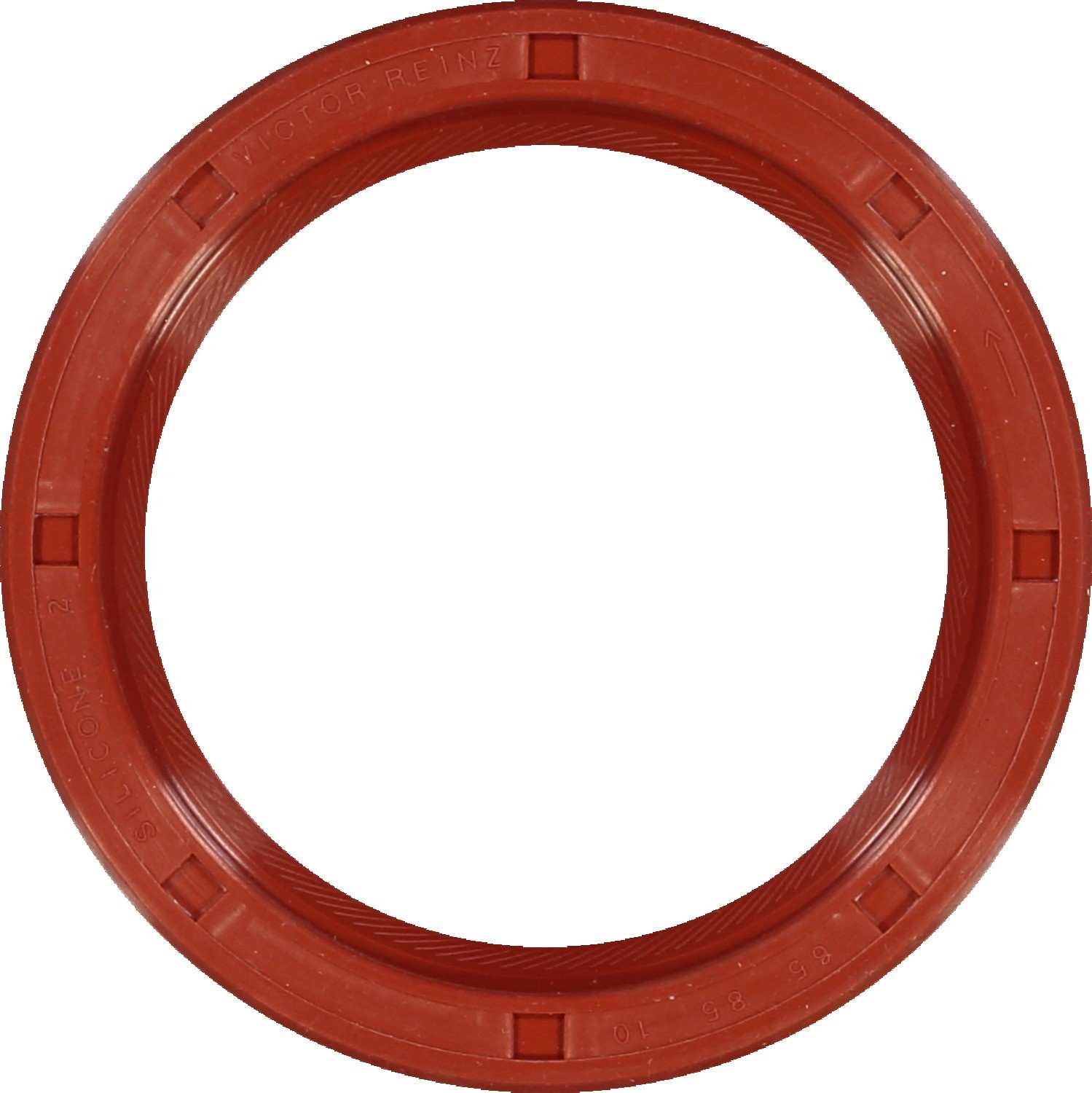 Top View of Engine Crankshaft Seal REINZ 81-15332-20