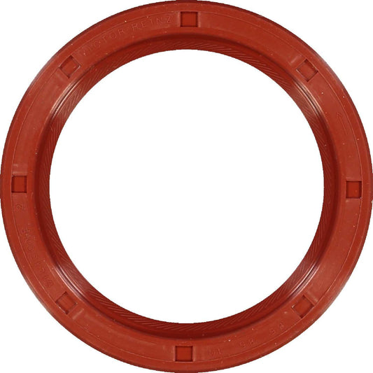 Top View of Engine Crankshaft Seal REINZ 81-15332-20