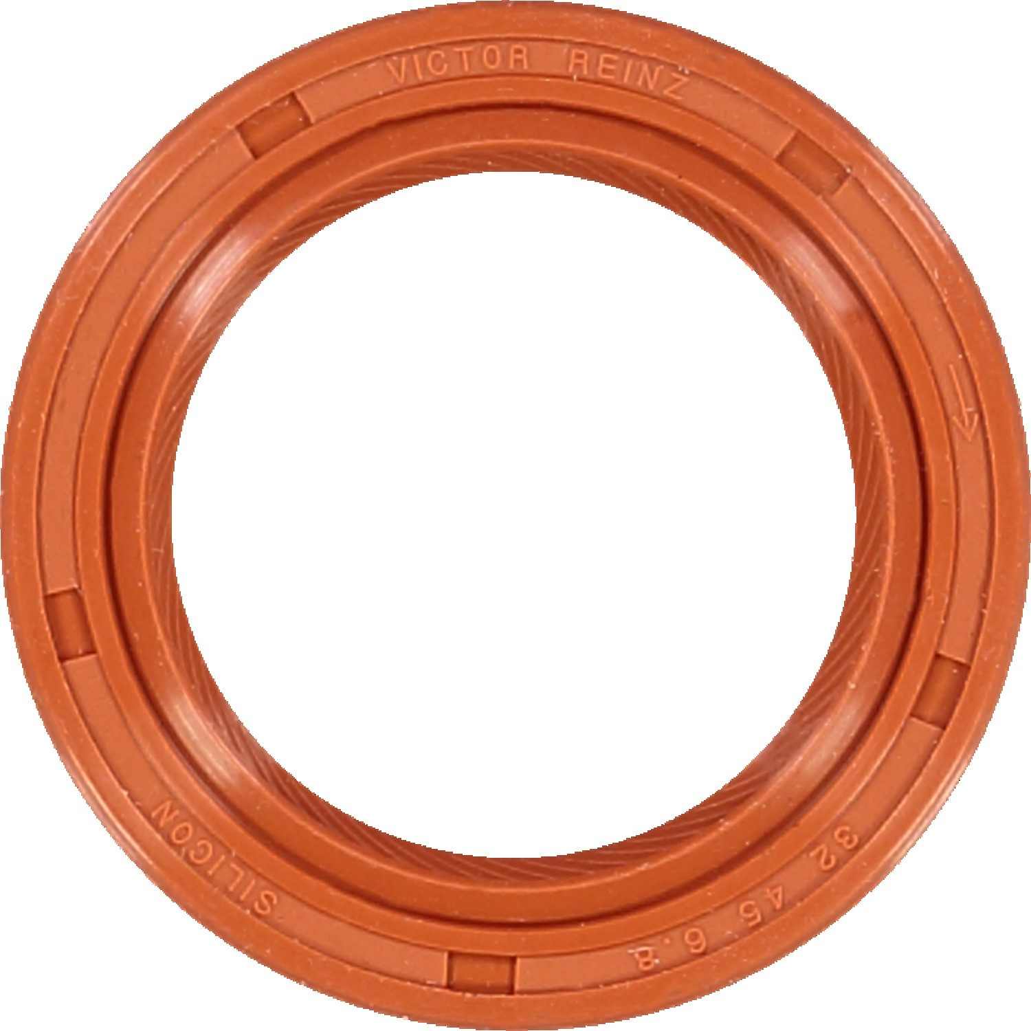 Top View of Engine Crankshaft Seal REINZ 813834300