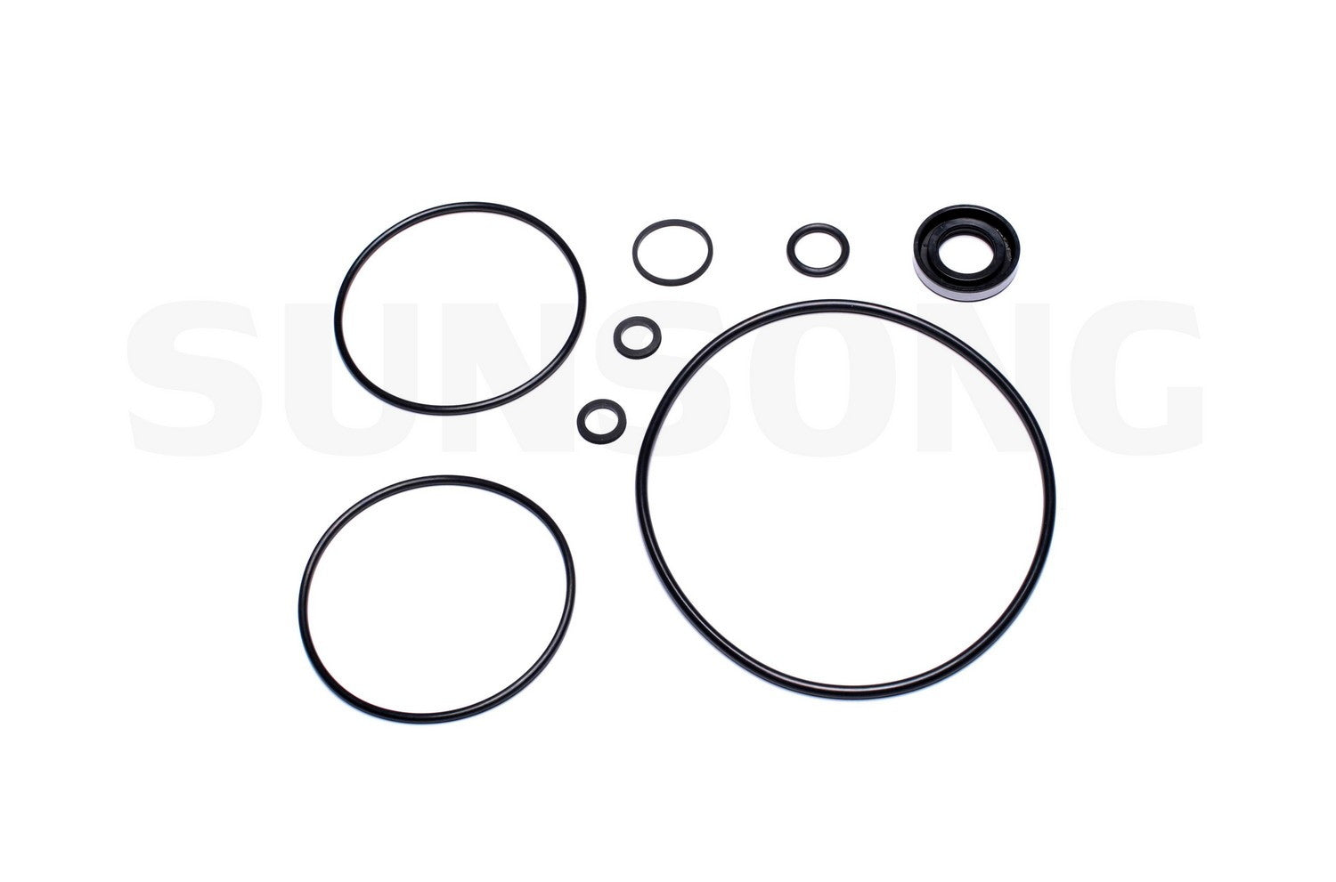 Angle View of Power Steering Pump Seal Kit SUNSONG 8401019