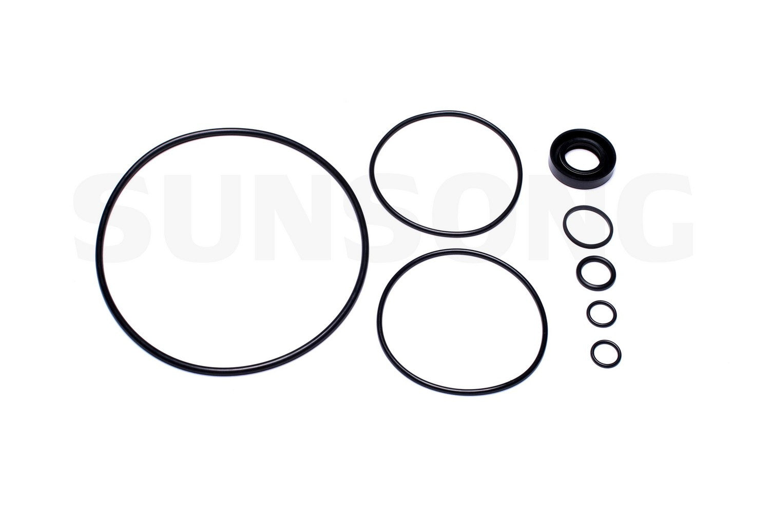 Angle View of Power Steering Pump Seal Kit SUNSONG 8401028