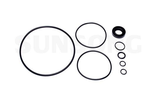 Angle View of Power Steering Pump Seal Kit SUNSONG 8401028