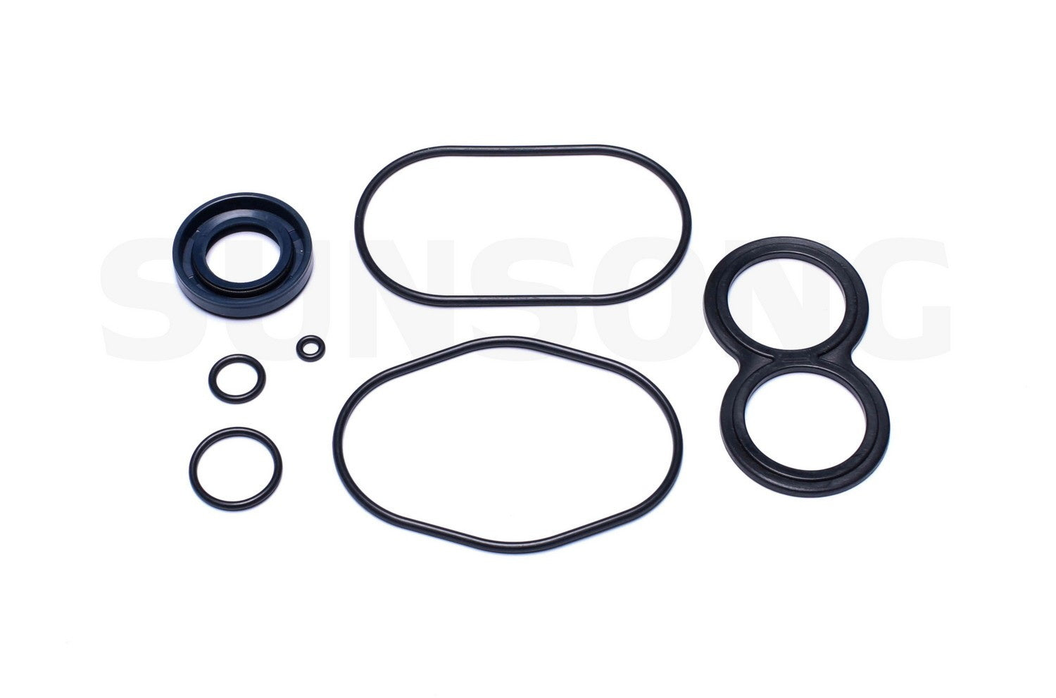 Angle View of Power Steering Pump Seal Kit SUNSONG 8401199