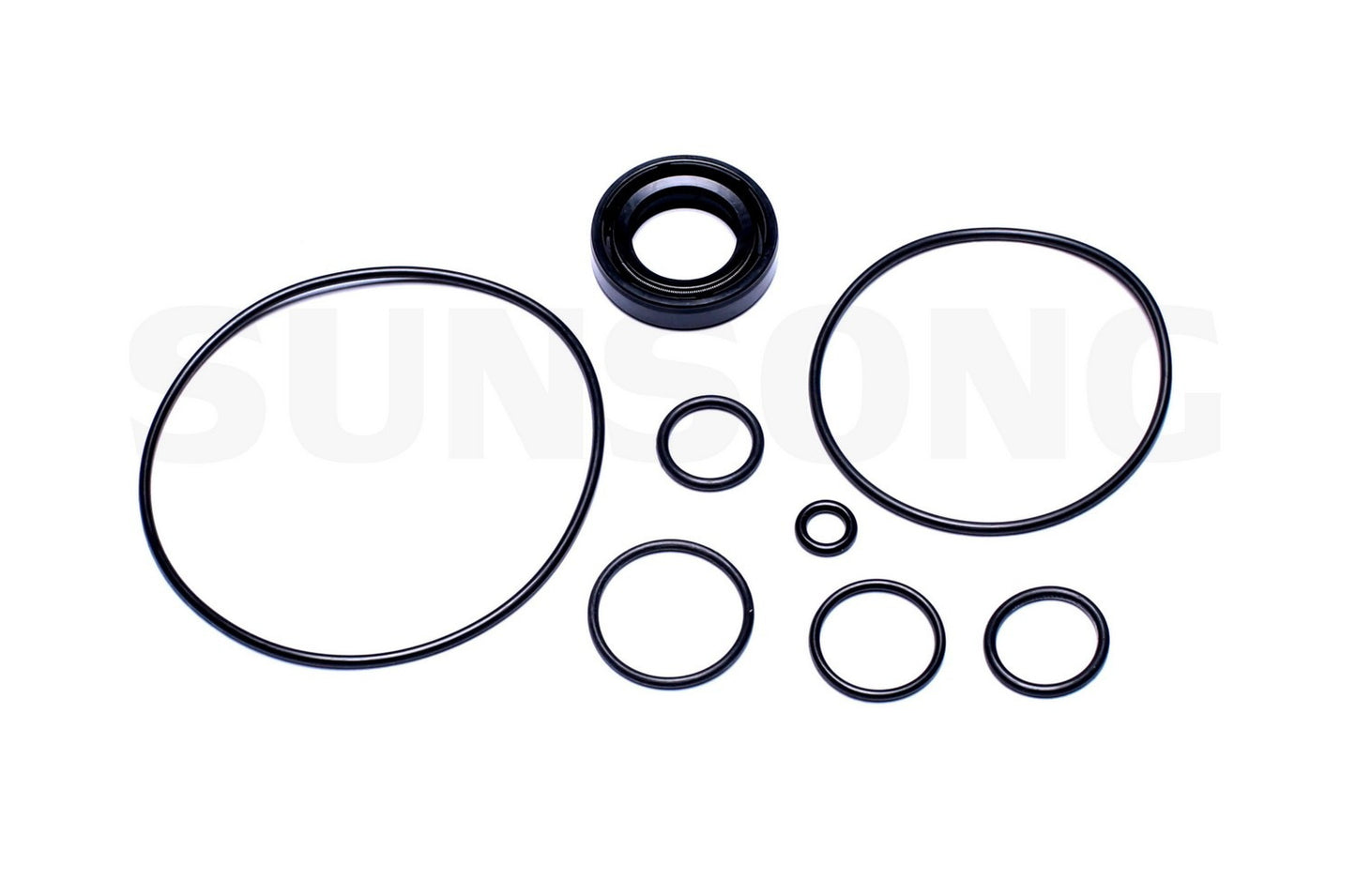 Angle View of Power Steering Pump Seal Kit SUNSONG 8401301