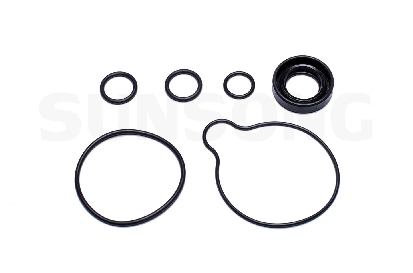 Angle View of Power Steering Pump Seal Kit SUNSONG 8401353