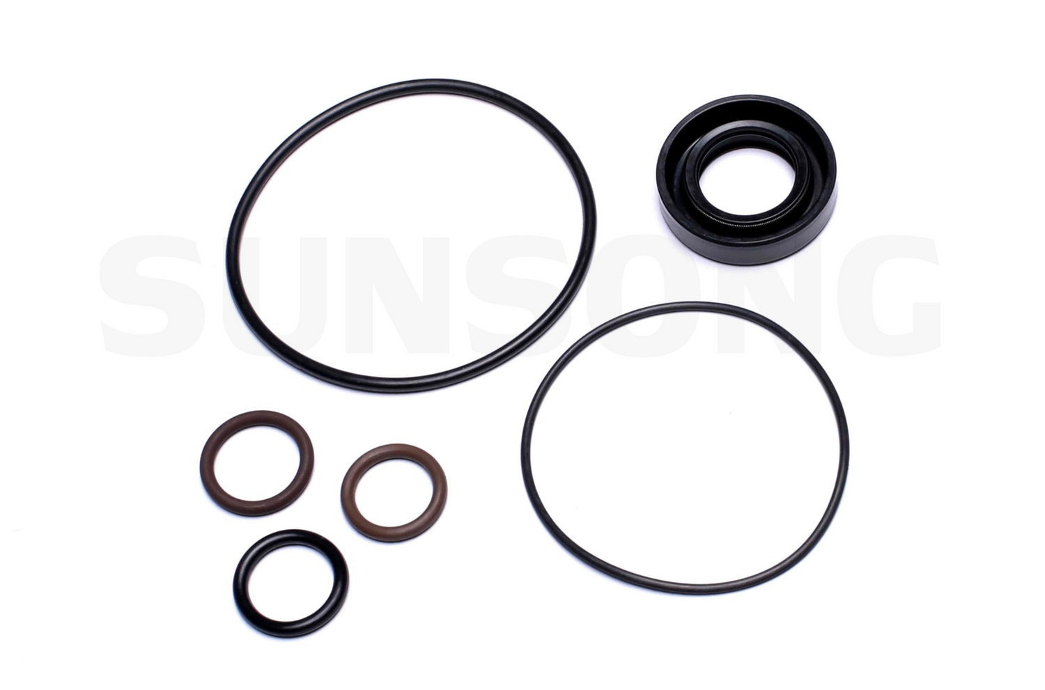 Angle View of Power Steering Pump Seal Kit SUNSONG 8401455