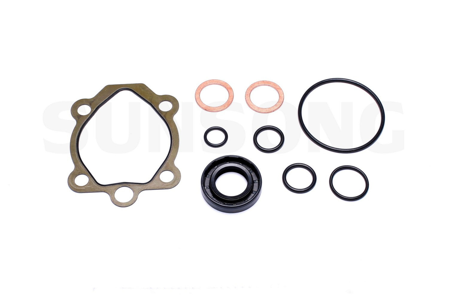 Angle View of Power Steering Pump Seal Kit SUNSONG 8401496