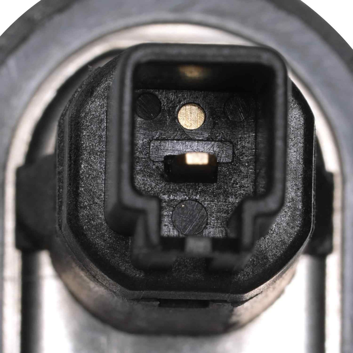 Connector View of Trunk Open Warning Switch STANDARD IGNITION AW-1046