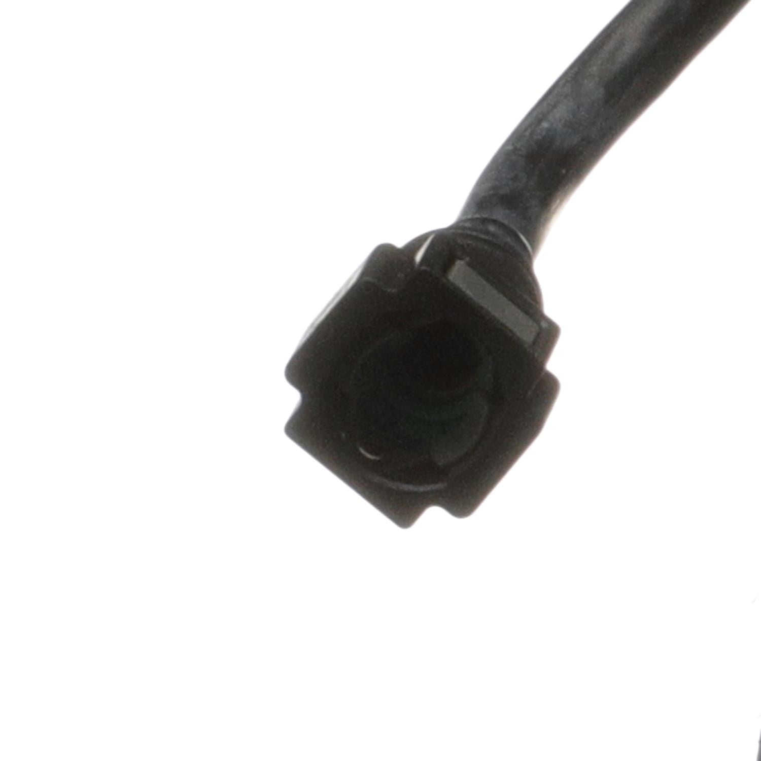 Connector View of Vapor Canister STANDARD IGNITION CP453