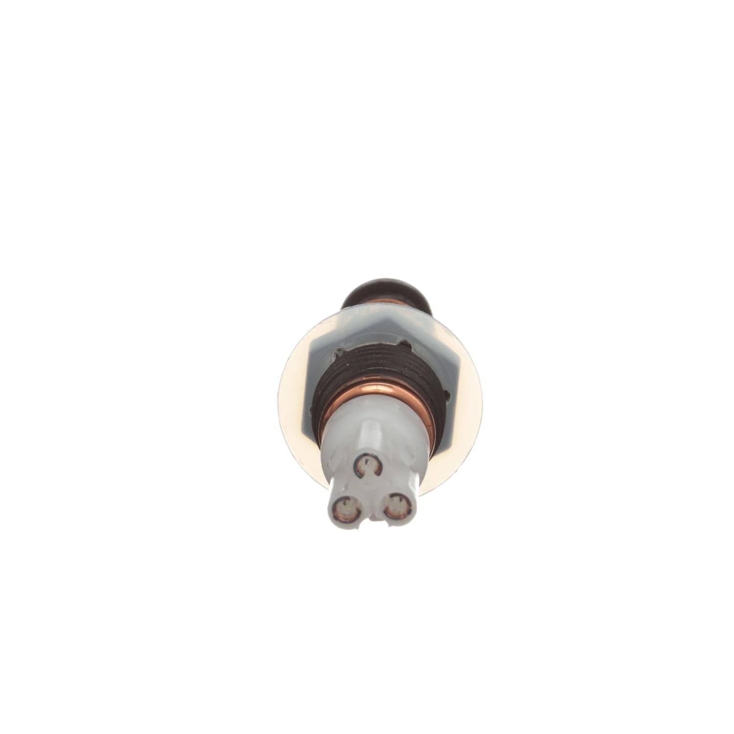 Bottom View of Door Jamb Switch STANDARD IGNITION DS-278