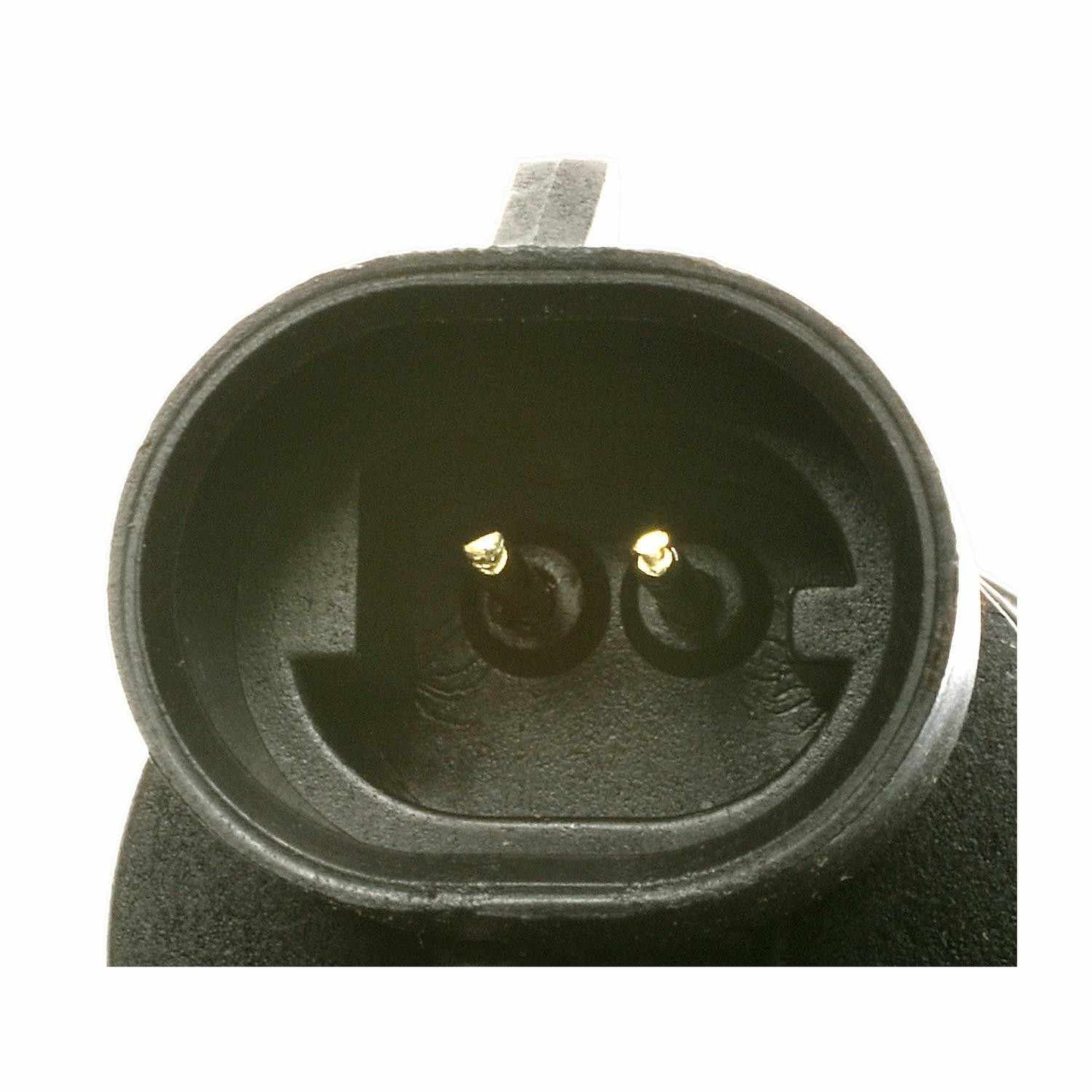 Connector View of EGR Valve STANDARD IGNITION EGV596