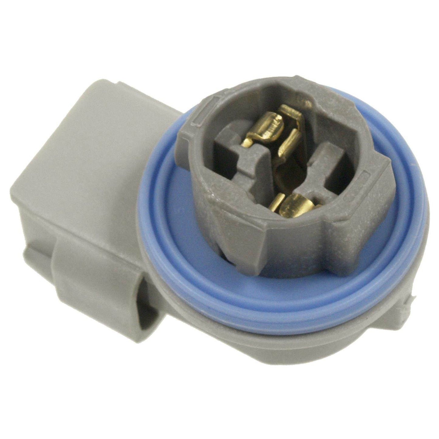 Bottom View of Running Board Light Socket STANDARD IGNITION HP4245