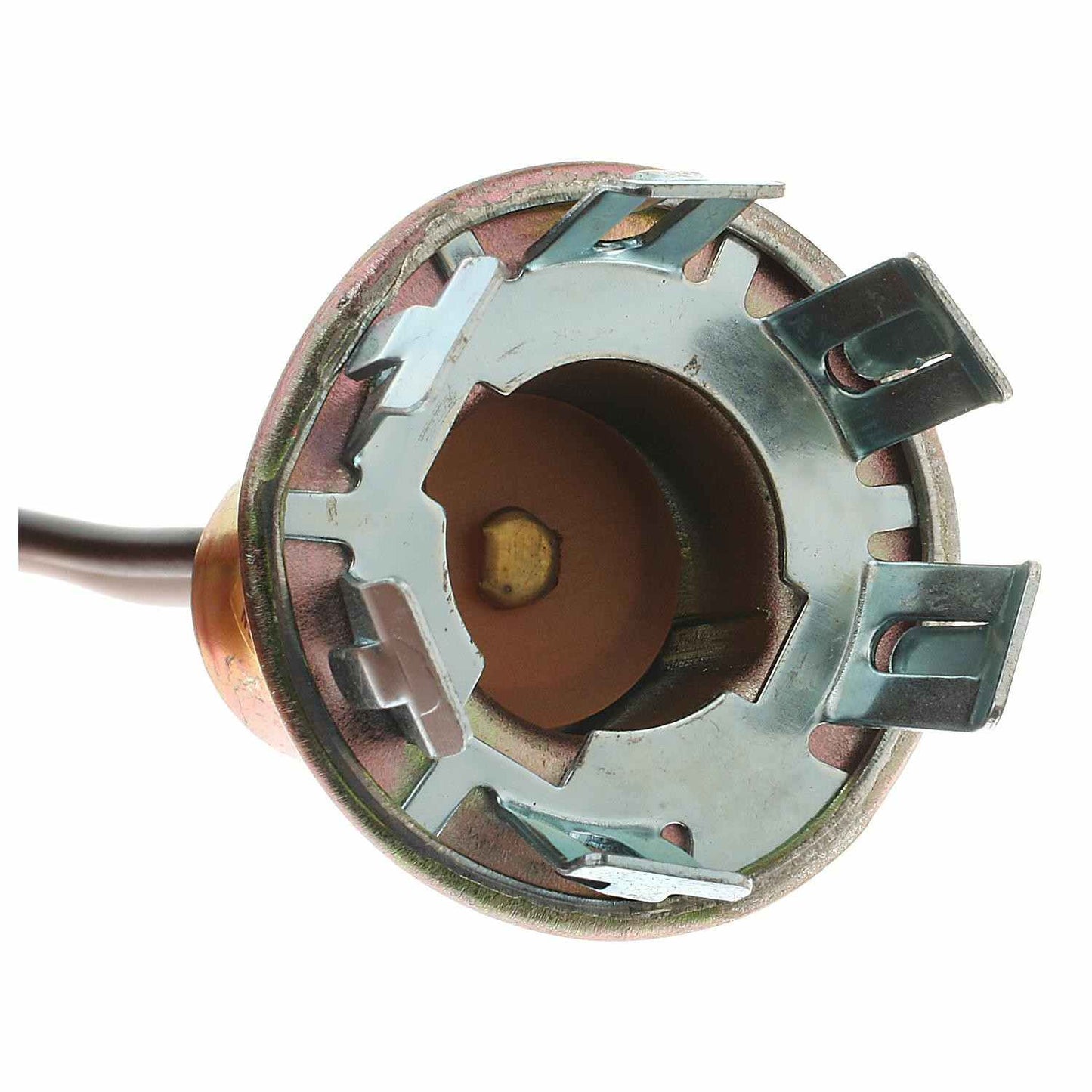 Connector View of Back Up Light Socket STANDARD IGNITION HP4620