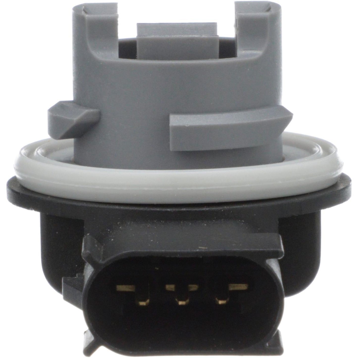 Left View of Combination Light Socket STANDARD IGNITION S-2139