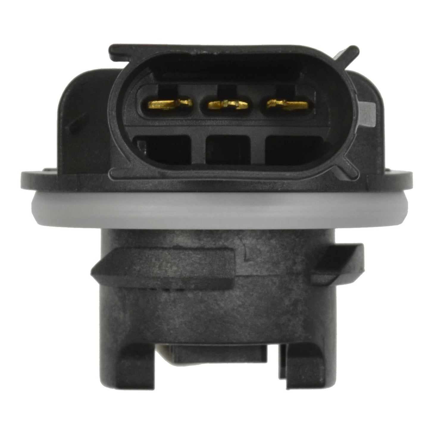 Other View of Combination Light Socket STANDARD IGNITION S-2139