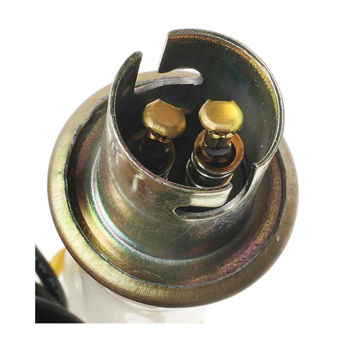 Other View of Combination Light Socket STANDARD IGNITION S-36N