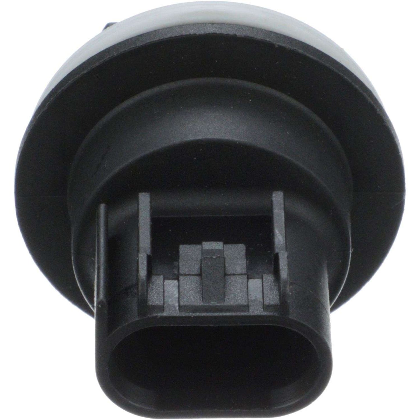 Right View of Brake Light Socket STANDARD IGNITION S-907