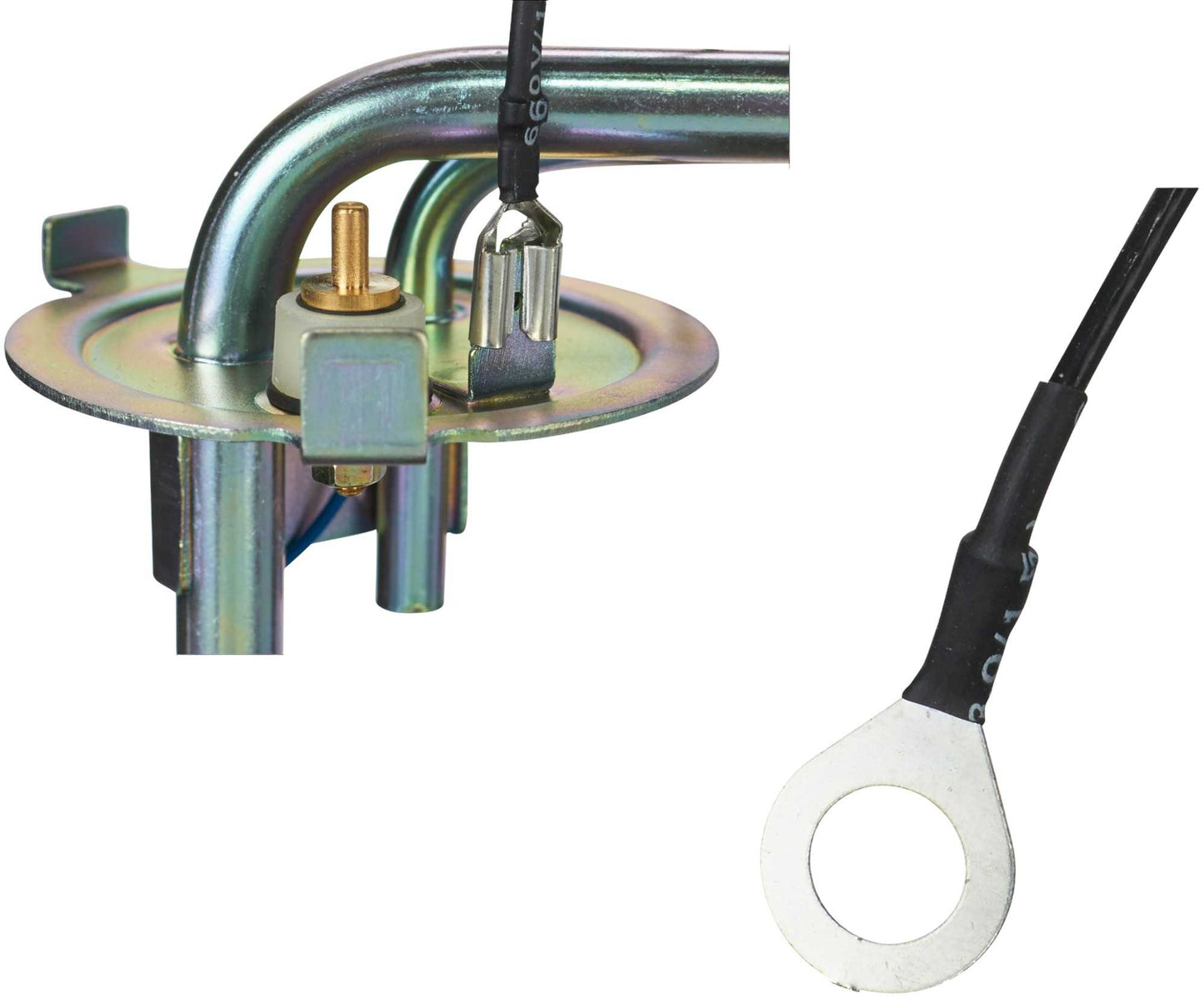 Connector View of Fuel Tank Sending Unit SPECTRA FG91B