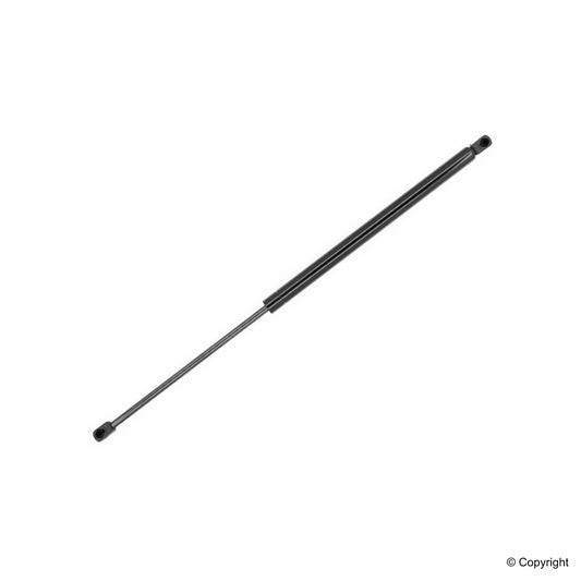 Top View of Liftgate Lift Support TUFF 610687