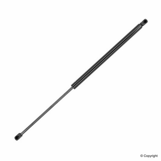 Top View of Liftgate Lift Support TUFF 610735