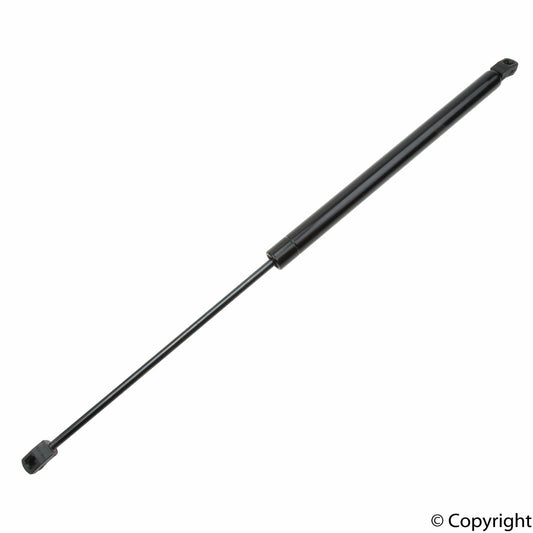 Top View of Liftgate Lift Support TUFF 611116