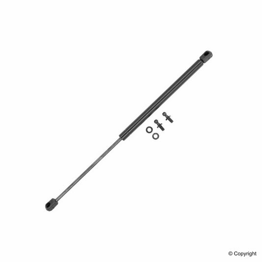 Top View of Liftgate Lift Support TUFF 611691