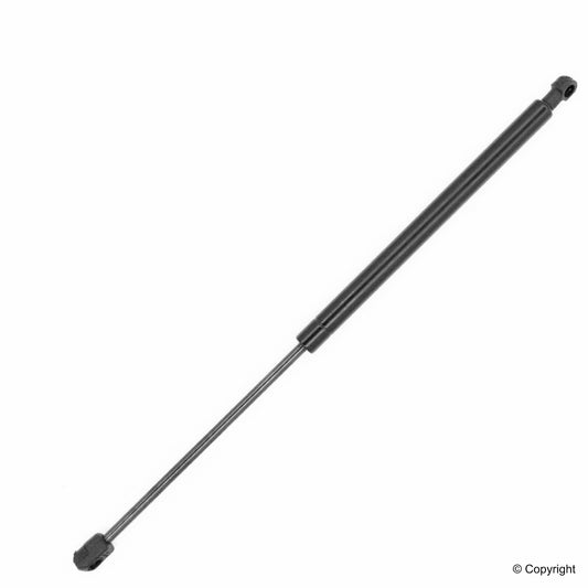 Top View of Liftgate Lift Support TUFF 611711