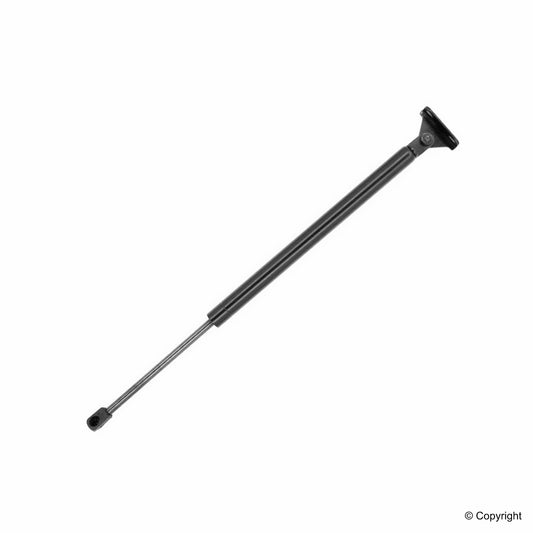 Top View of Liftgate Lift Support TUFF 612255