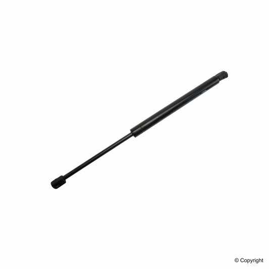 Top View of Liftgate Lift Support TUFF 613072