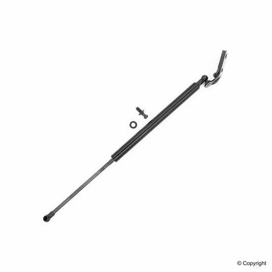 Top View of Hood Lift Support TUFF 613247