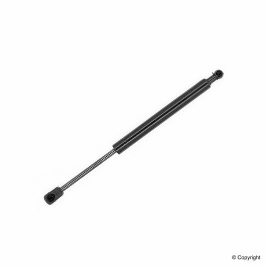 Top View of Liftgate Lift Support TUFF 613319