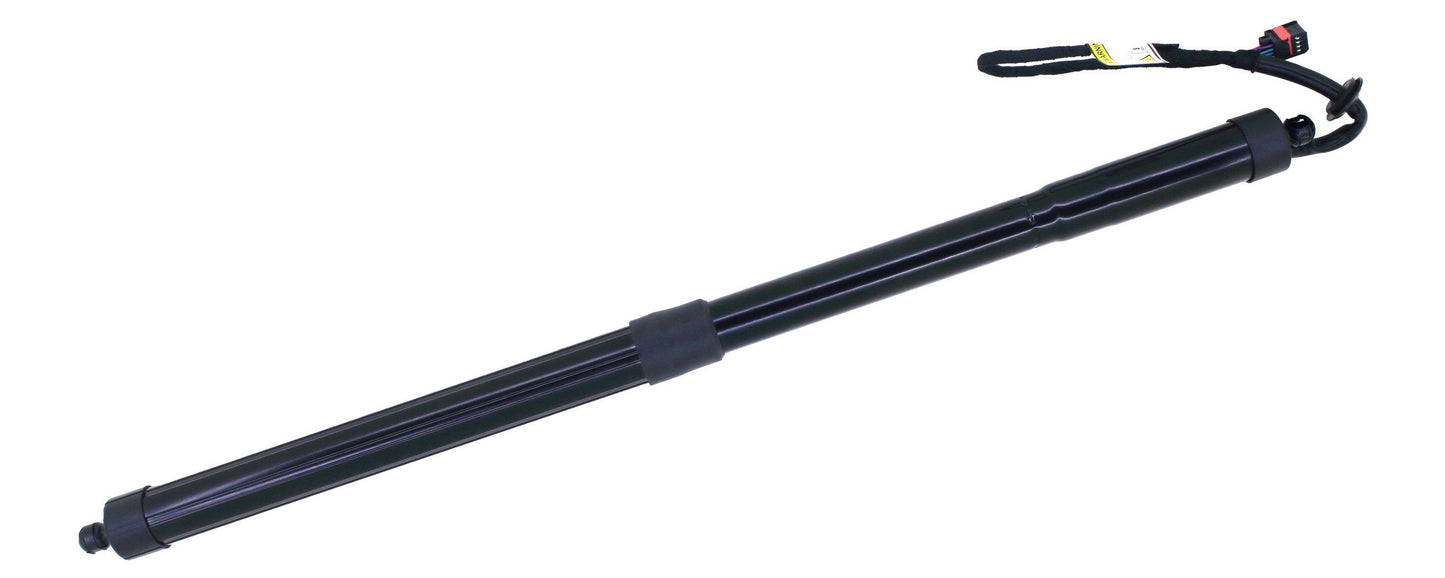 Liftgate Lift Support 615003