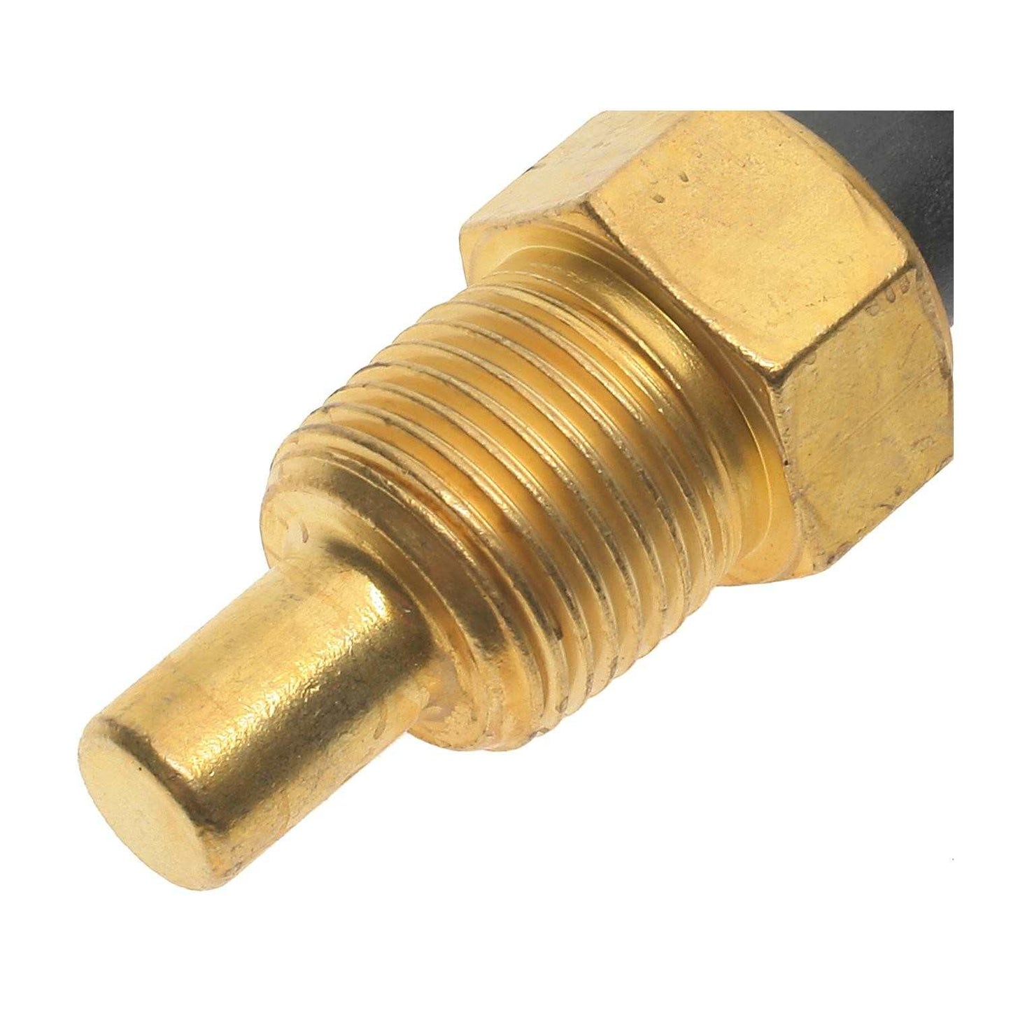 Connector View of Engine Coolant Temperature Sensor TRUE-TECH SMP TX43T